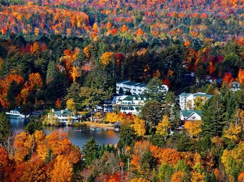 FOLIAGE RESORT .